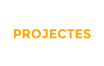 PROJECTES